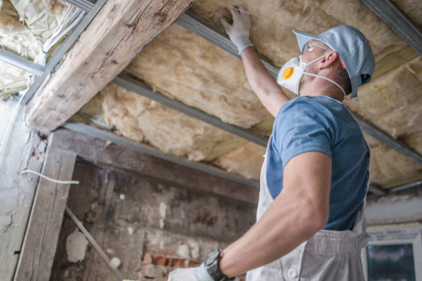 Best Cellulose Insulation in Xtonia, PA