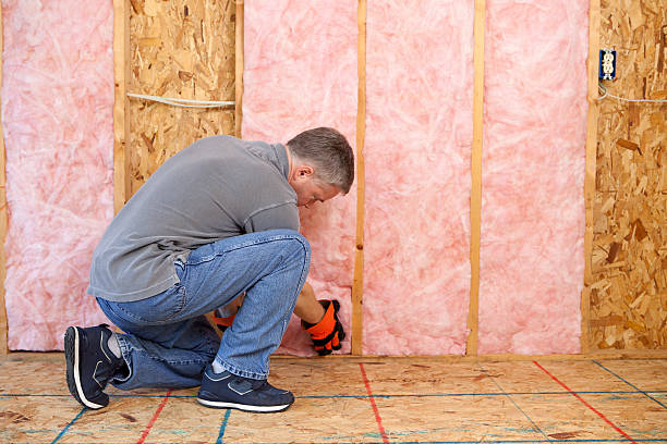 Types of Insulation We Offer in Paxtonia, PA